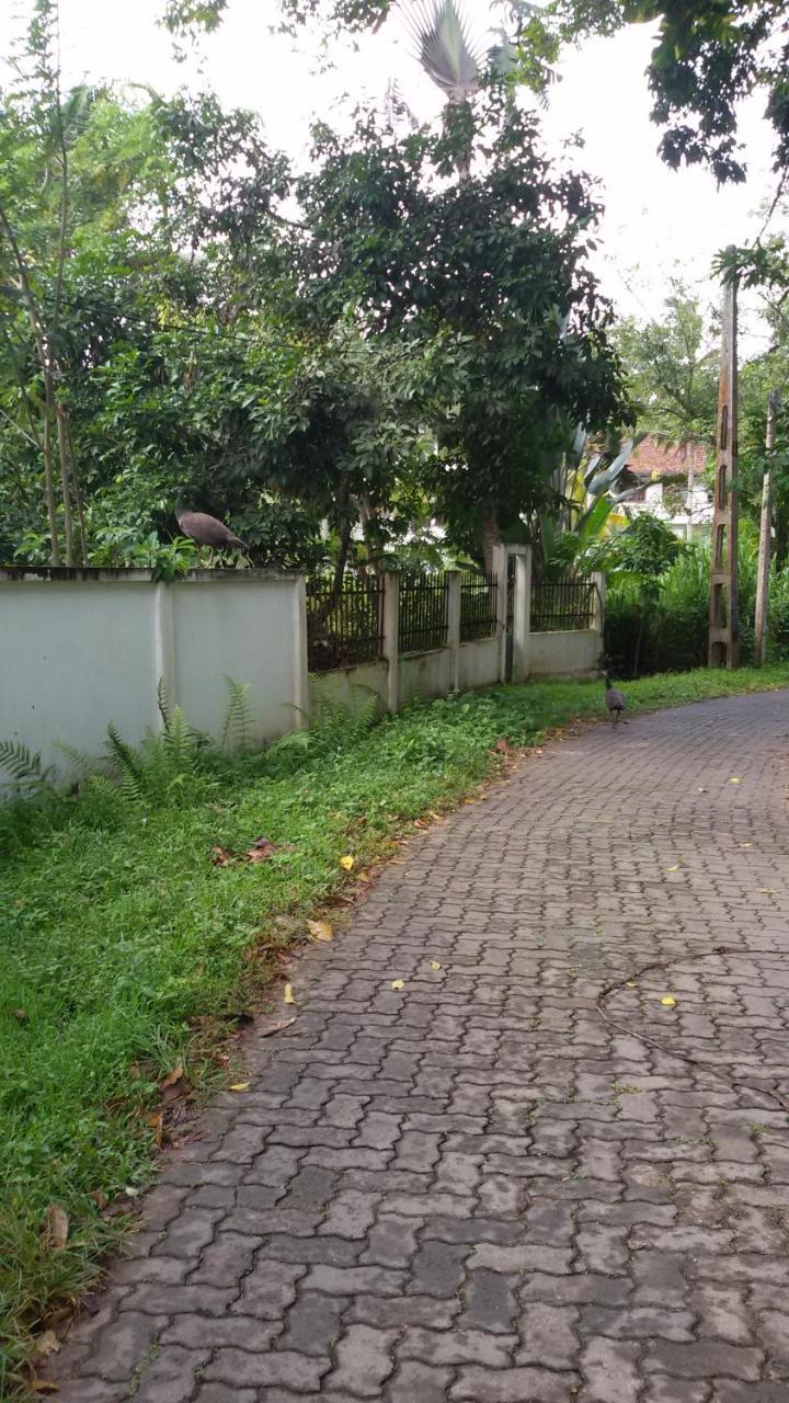 Vero Homestay Galle Luaran gambar
